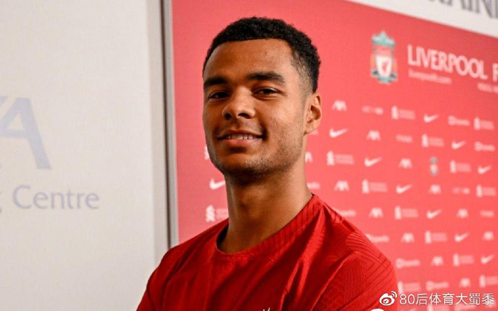 瑞士天王费 瑞士天王费